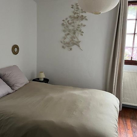 La Maison Du Pont Vieux Carcassonne Zewnętrze zdjęcie